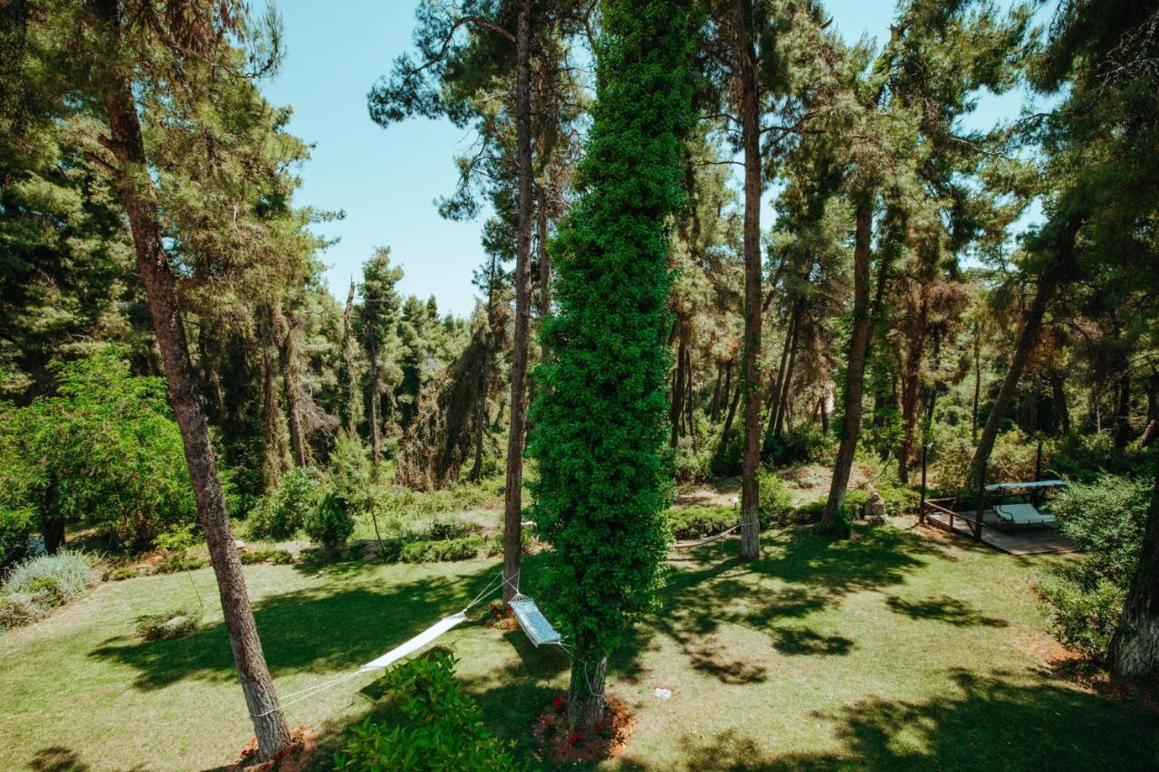 Beautiful Summerhouse In Sani'S Pine Forest Sani  エクステリア 写真